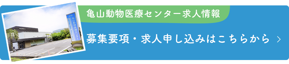募集要項・求人申し込みはこちらから